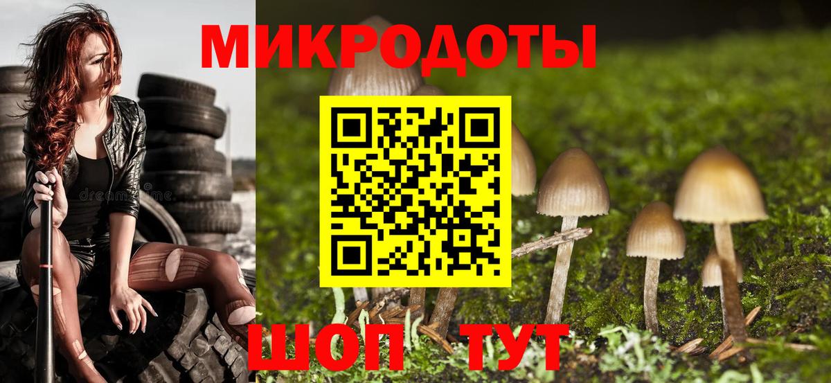 Псилоцибиновые грибы Psilocybe  Батайск 