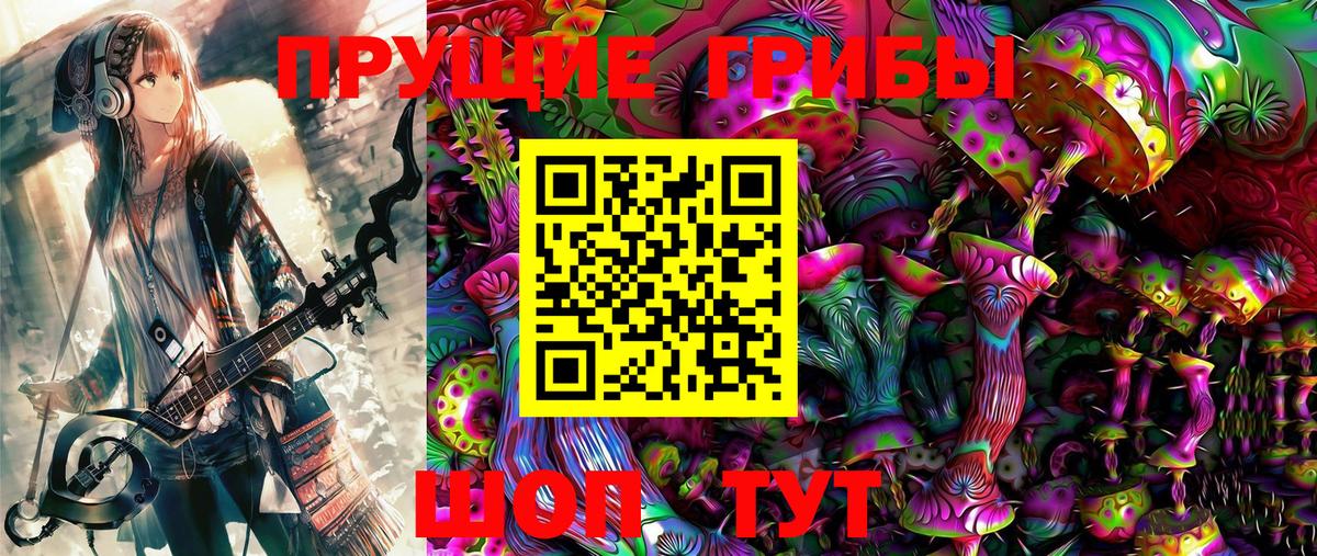 Псилоцибиновые грибы Psilocybe Батайск